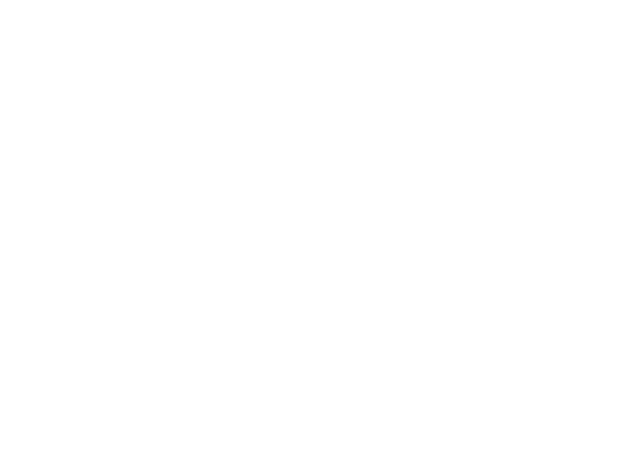 Vincent Buda & Co